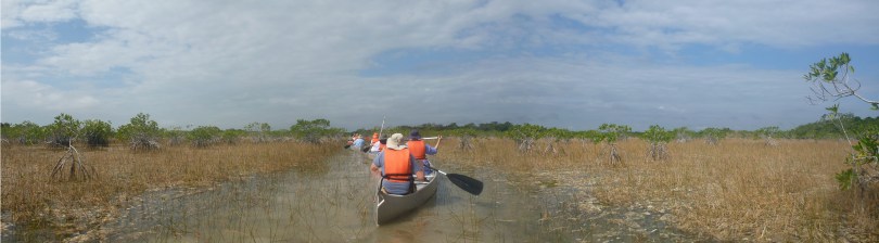 Paddling 9 Mile Pond